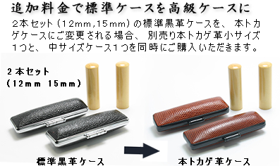 Case-description