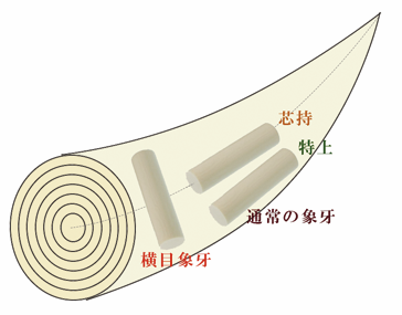 横目象牙・横目芯持の説明図